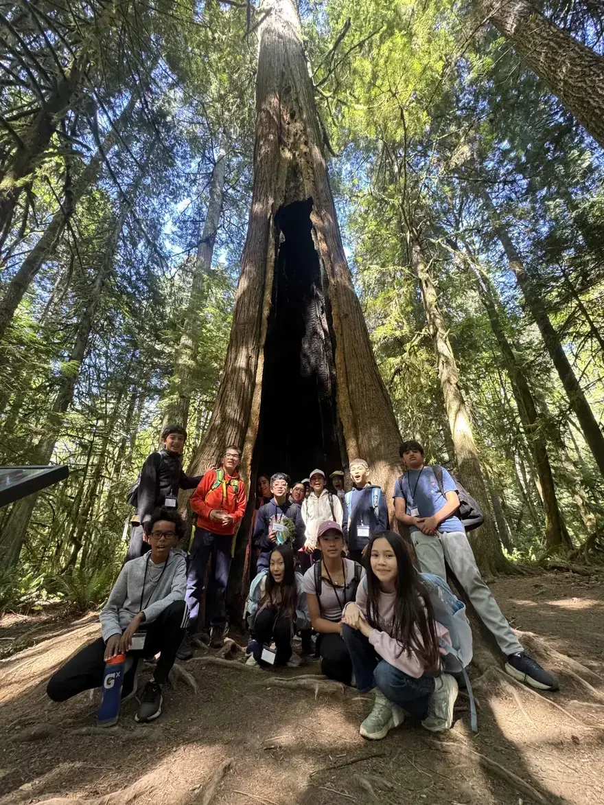 Students under tree in field trip