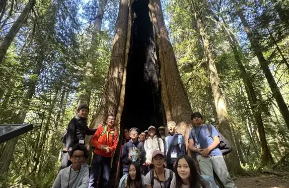 Students learning in the woods 