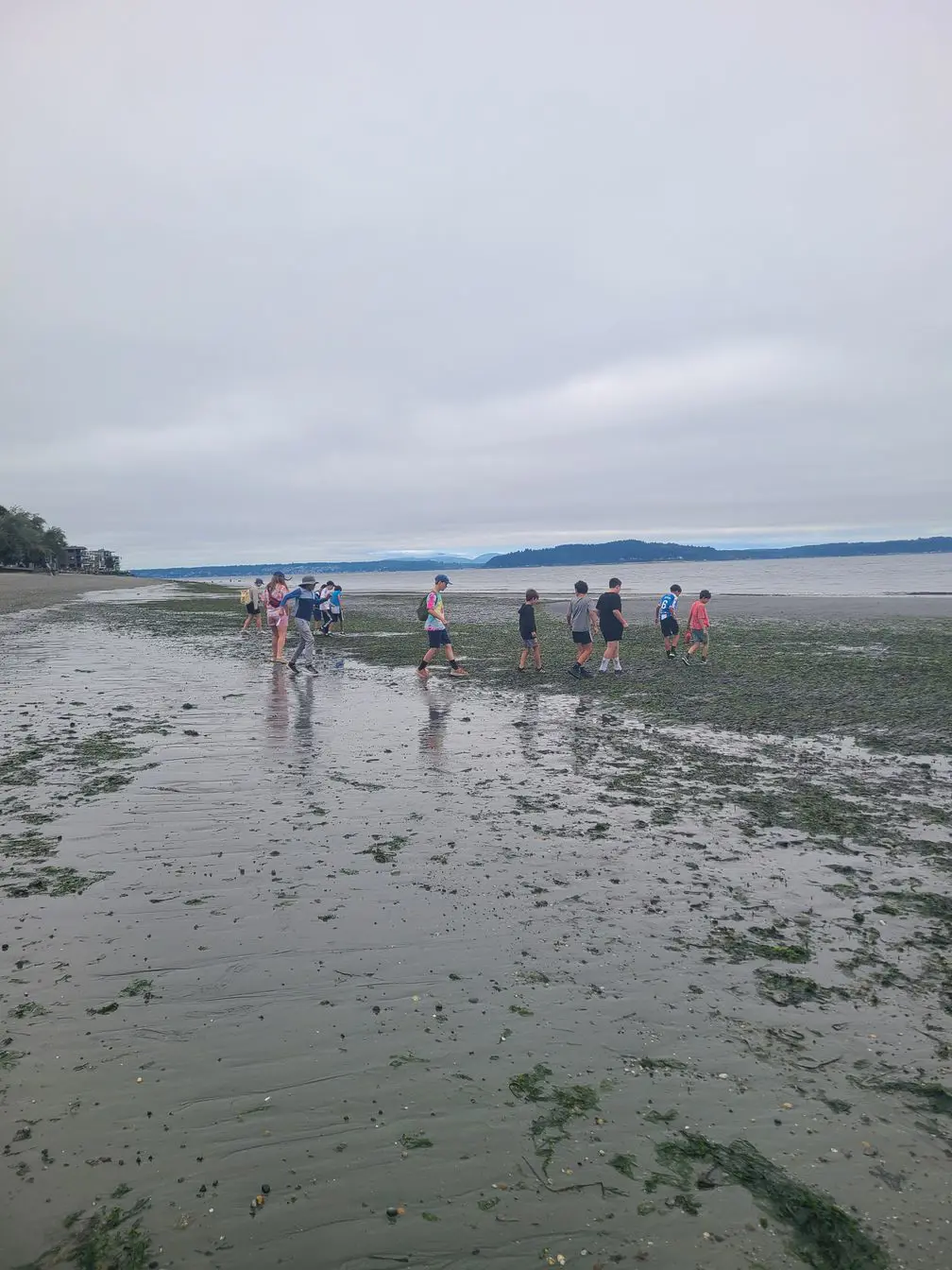 Students walking on the beach