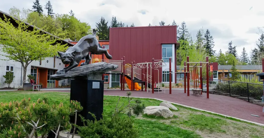 Outdoor area