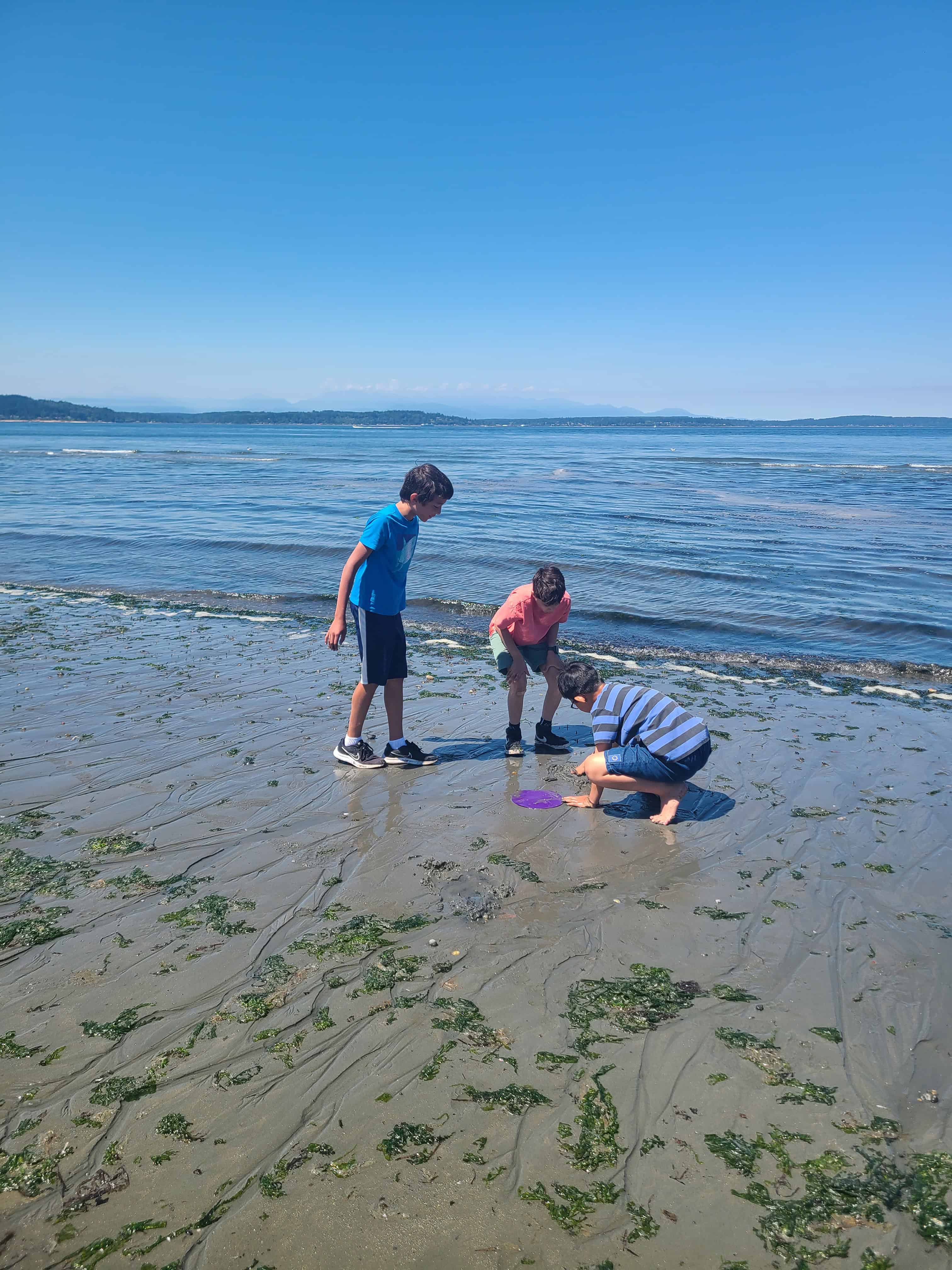 Students at the beach