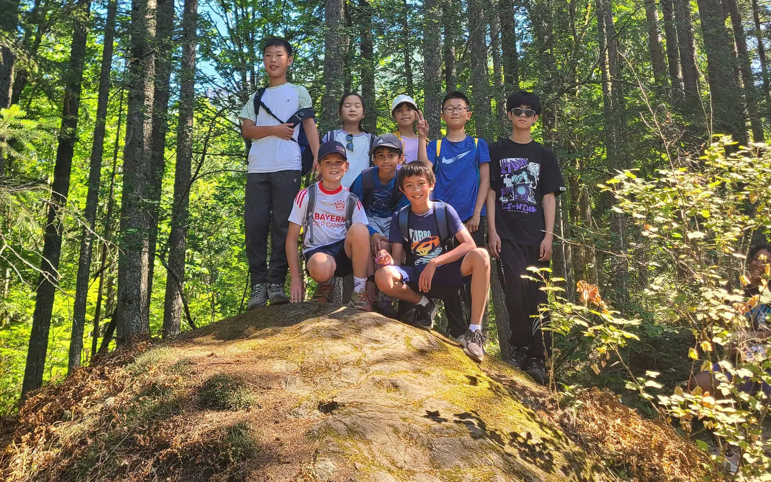 Students exploring the woods
