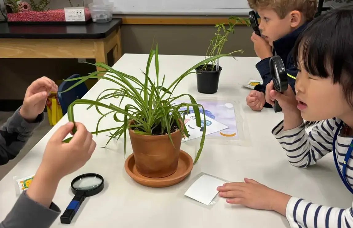 Students inspecting a plant